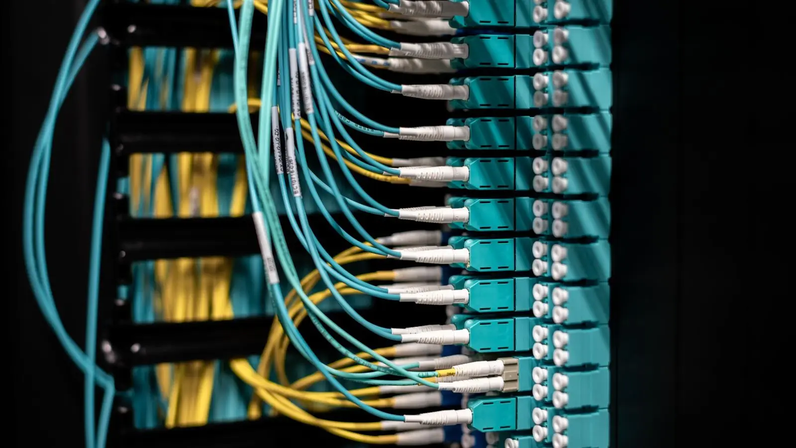 Teal and yellow fiber optic patch cables plugged into a server rack panel.