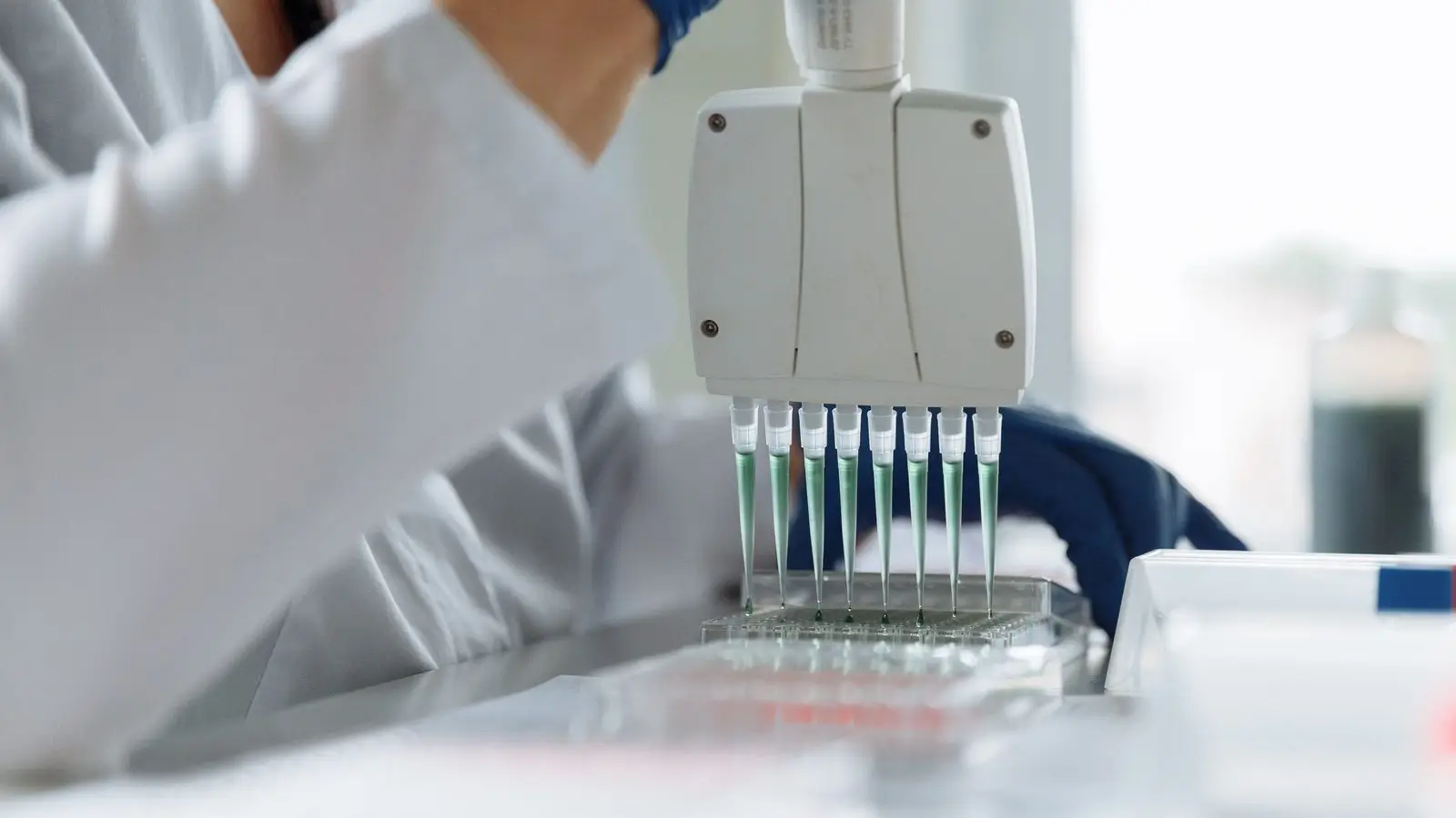 A researcher in a white coat and blue gloves loads a plate with a multichannel pipette in a lab.