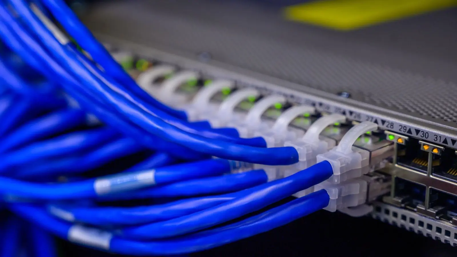 Close-up of blue network patch cables plugged into a rack switch with green link lights.