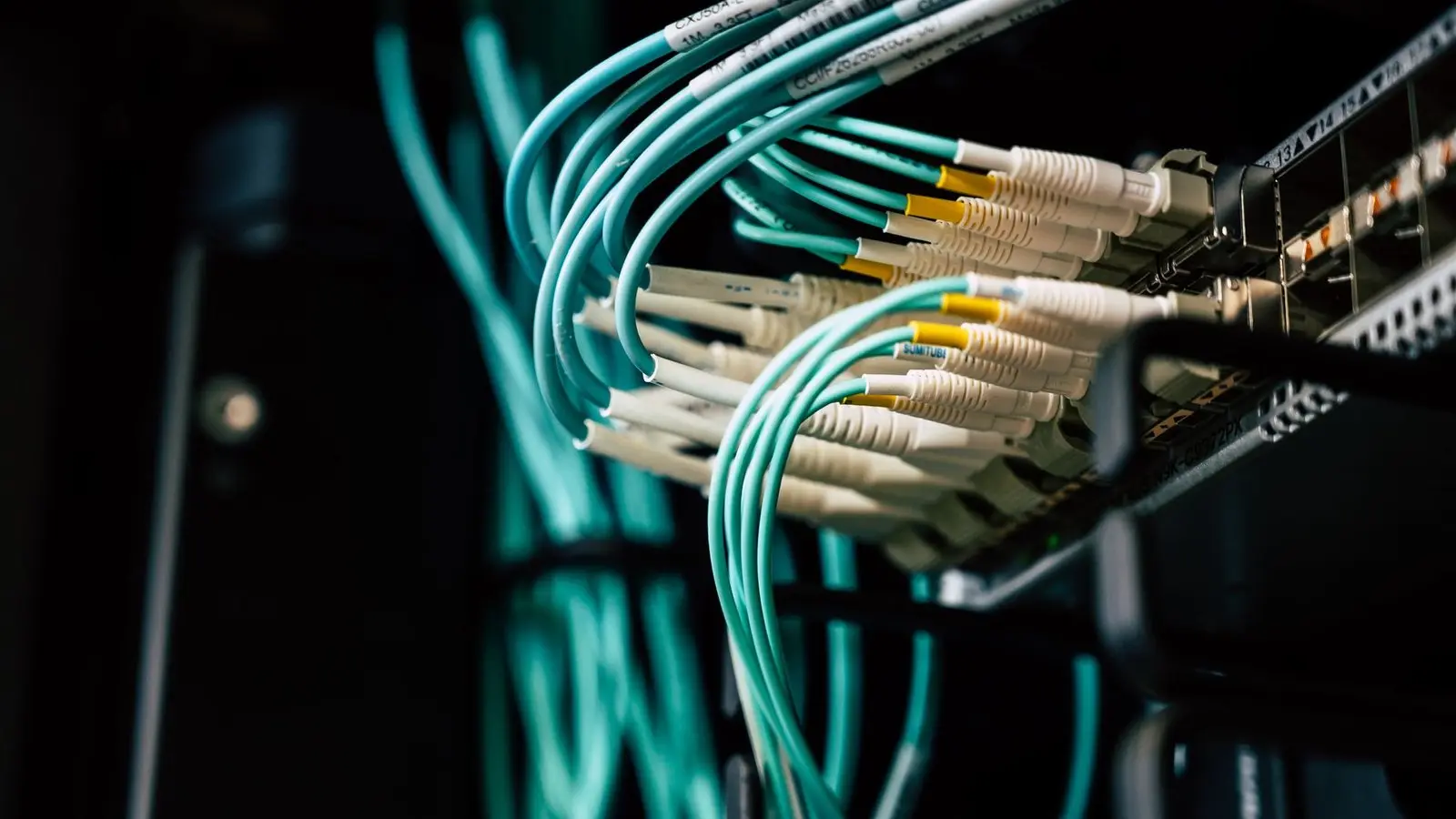Aqua fiber patch cables with white connectors plugged into a network switch in a dark server rack.